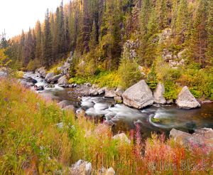 27  DG204--Hyalite-Creek-along-the-canyon--Pan-(15).jpg